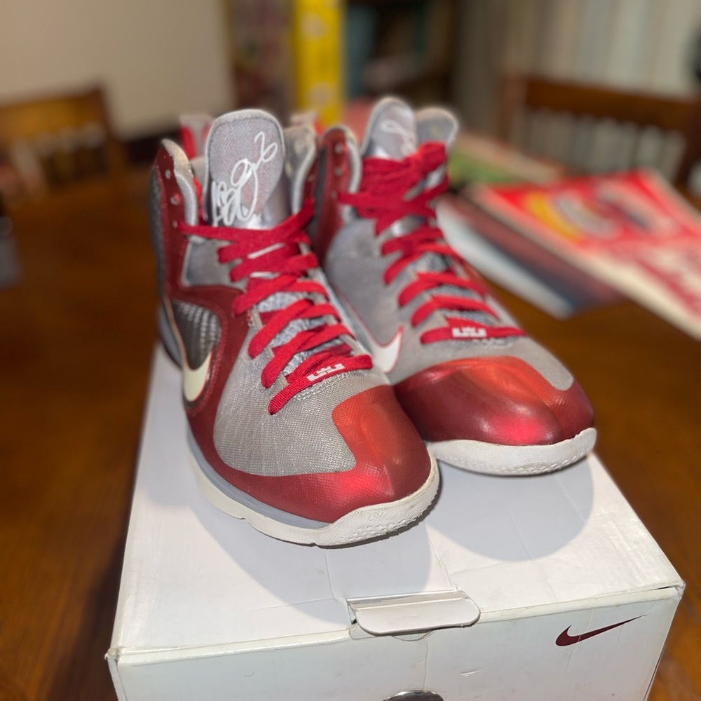 Nike Red and Gray LEBRON 9
